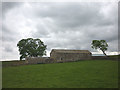 Barn and trees, Tute Hill in Bowes