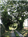 Track and public footpath off Honing Long Lane in Honing