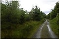Road, Leanachan Forest in PH33 6SQ