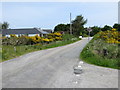 Road from Ardachew to East Brora in KW9 6NG