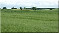 Arable farmland south of Kinlet in DY12 3DD