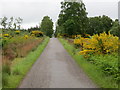 Road at Newlands of Knockaneorn in IV12 5UX