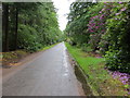 Road on the western side of Mill Wood in IV12 5PR