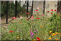 View of flowers in the Cat Survival Trust car park in SG4 8DE