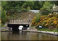 Entrance to Tunnel under Antonine wall in FK1 4RQ