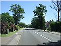 Bus stop on Wilbury Road, Letchworth in SG6 4SF