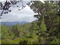 Forest view from Coire Buidhe above Loch an Eilein, Aviemore in PH22 1QT