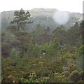 View south in Coire Buidhe near Aviemore in PH22 1QT