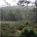 Looking east across Coire Buidhe near Aviemore in PH22 1QT