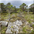 On the ridge west of Coire Buidhe leading to Creagan Bun Suinn in PH22 1QT