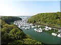 The Pembrokeshire Coast Path near Great Honeyborough in SA73 1PL