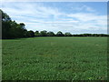 Crop field off Meldreth Road in SG8 6NX