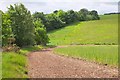 Field margin near Edgelaw in EH23 4SN