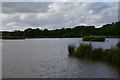 Mid Devon : Small Lake in EX17 5LS