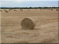 Straw Bales in CV13 0QN