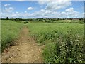 Footpath to Chadlington in Chadlington and Churchill Ward