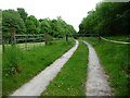 Track to a farm building along the valley of Cwm Brook in HR2 0DR