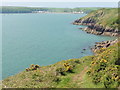 The Pembrokeshire Coast Path near Monk Haven in SA62 3TD