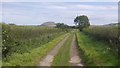 Farm road near Seggarsdean in EH41 4LD