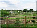 Blacksmith's Lane Allotments in Egginton