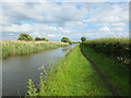Leeds - Liverpool Canal Southeast of Rimmer's Bridge in L31 4HS