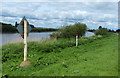 River Trent at Messingham Ings in DN17 3JU