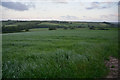 Mid Devon : Grassy Field in EX17 6QD