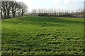 Grass field, Hewas Farm in PL26 7HQ