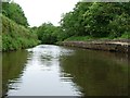Moorings, western end, Foulridge Tunnel in Pendle District (B)