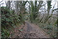 Footpath, Langley Plantation in PL6 6DN