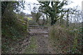 Gated path in PL6 6DN