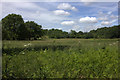 Meadow and woodland from the Hertfordshire Way in EN6 4PF