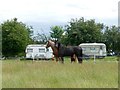 Horses and caravans on Fishpond Hill in NG19 6JU