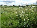 Farmland at Hook Norton in OX15 5JR