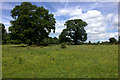 Meadows and trees off the Hertfordshire Way in EN6 1JP