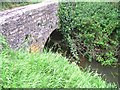 Bridge over Dyke Brook on Steart Lane in BA22 7RF