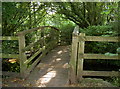 Wooden footbridge over the Chew in BS40 8SP