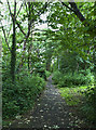 A footpath through woodland off Norwich Drive in CH49 4GD