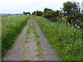 Footpath on Holy Island in TD15 2SF