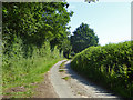 Lane towards Bakers Hall in Bures Hamlet
