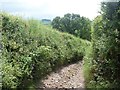 Hamblecombe Lane [3] in TQ13 0AZ