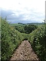 Hamblecombe Lane [4] in TQ13 0AZ