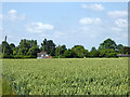 Wheat field south of Bulls Cross Wood in CO10 5PT