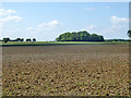 Ploughed field south of Bulls Cross Wood in Box Vale Ward