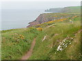 The Pembrokeshire Coast Path near Musselwick Sands in Marloes and St. Brides Community