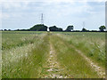 Track and public footpath to Westley Green Farm in IP6 8JZ