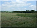 Silage field, Fincham in PE33 9DQ