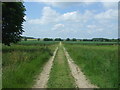 Farm track (Footpath) near St Mary's Church, Barton Bendish in PE33 9NW