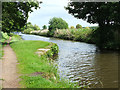 Narrowing of the Leeds - Liverpool Canal at Such Hey Wood in L40 8HH