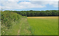 Footpath along barley field near Wood Barn Farm, Mutford in NR33 8HD